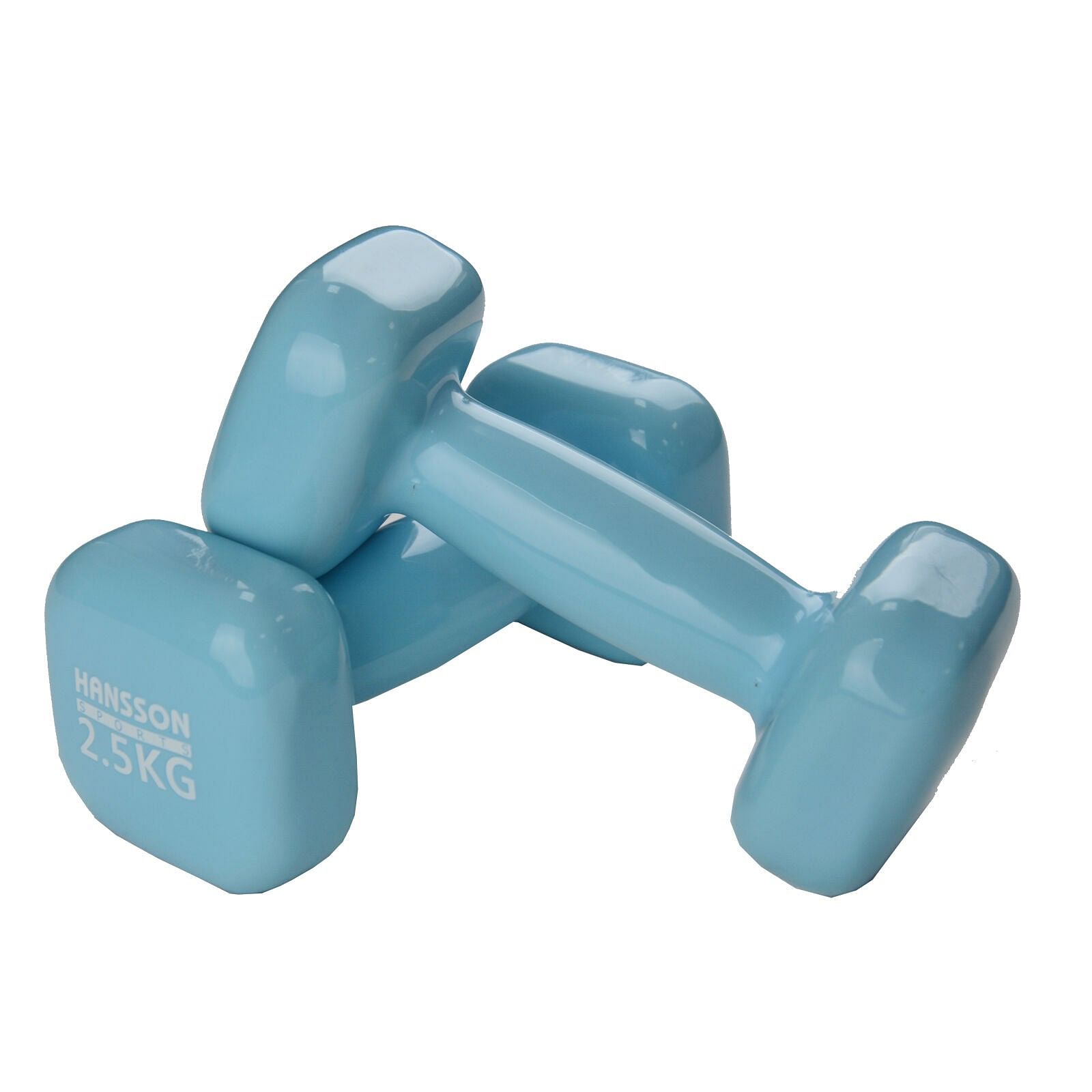 Neopren Hantelset 2,5 KG