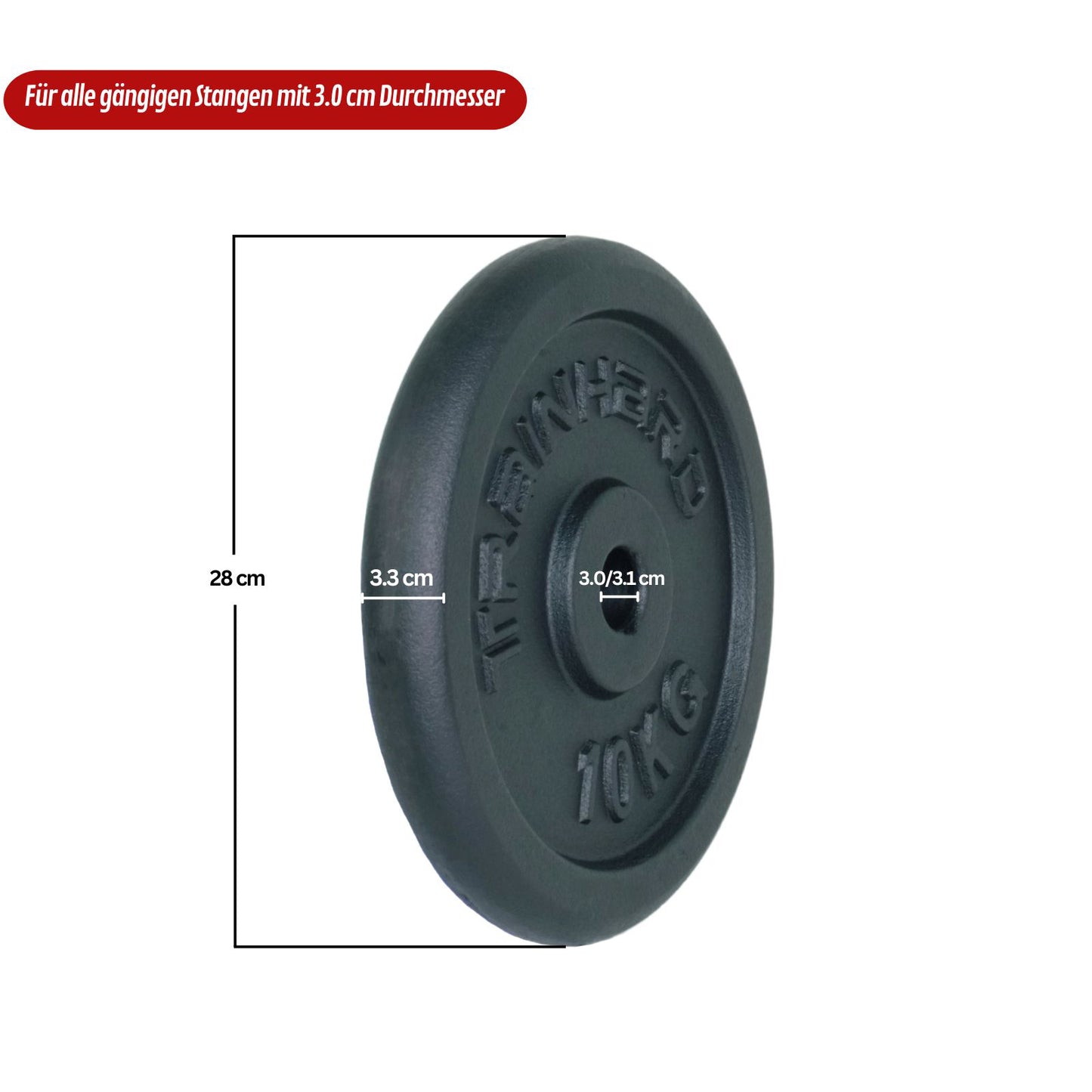 1F12124P Train Hard Gusseisen Detailansicht mit Maßangabe