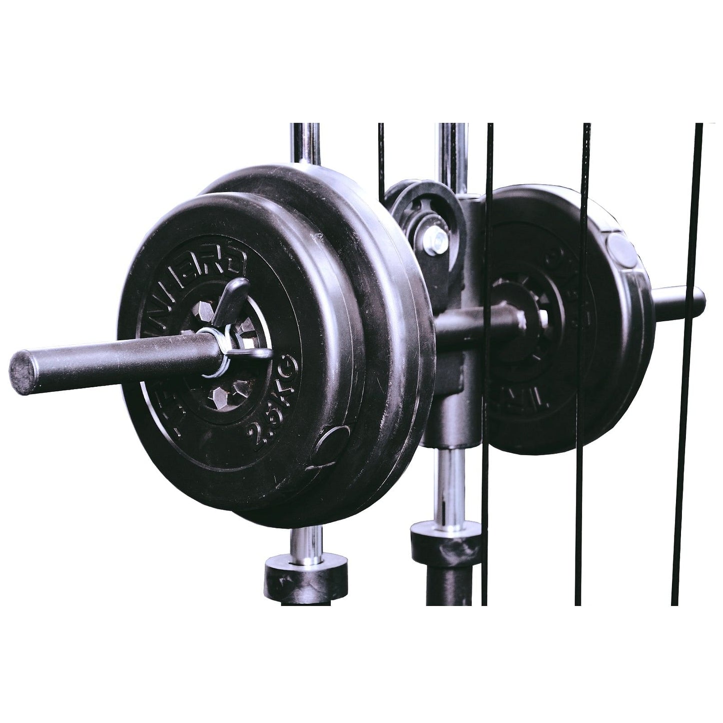 1F09824-Detailansicht Gewichtsaufnahme mit Gewichten