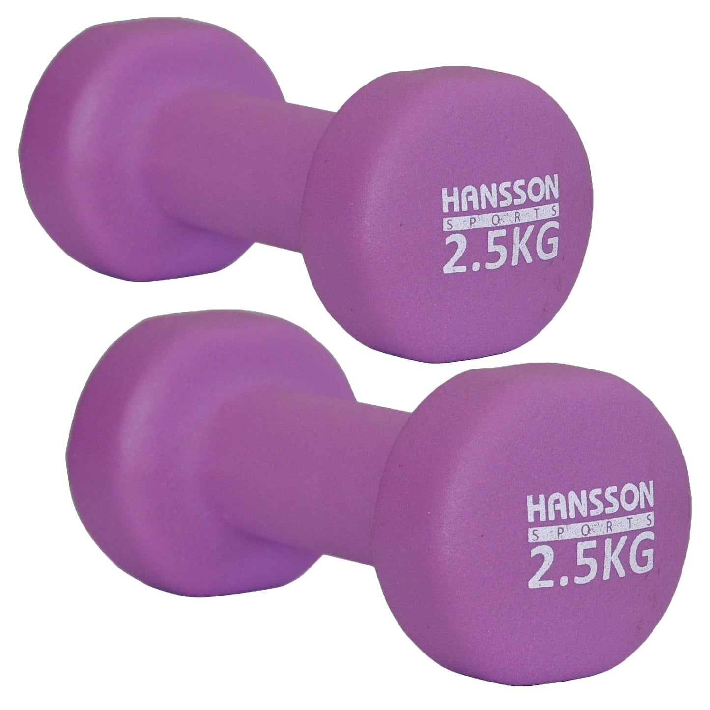 Neopren Hantelset 2,5 KG in Lila